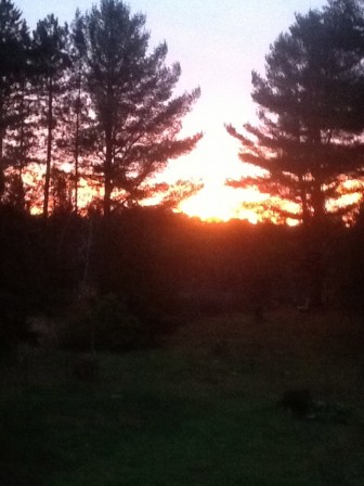 IMG_0149.jpg, janv. 2021