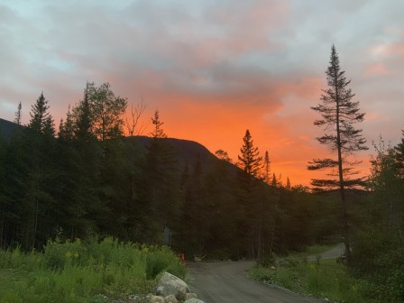 IMG_5865.jpg, janv. 2021