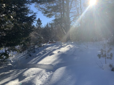 IMG_8177.jpg, fév. 2021