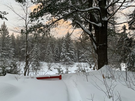 IMG_8493.jpg, mar. 2021