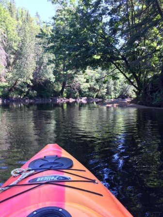 IMG_9699.JPG, juin 2021